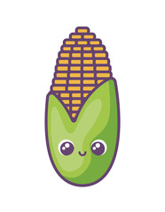 sweet corn in white background