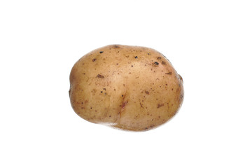 Fresh washed potato tuber isolated on a white background.