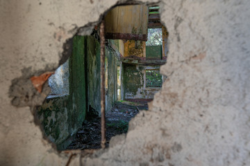 Lost Place im Dschungel von Madeira 