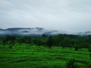Fototapeta premium landscape with clouds