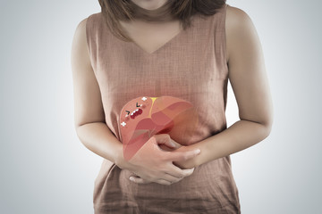The cartoon of liver is on the woman body against a gray background, Liver disease or Hepatitis, Concept with body problem and Female anatomy - obrazy, fototapety, plakaty