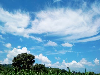 green field and blue sky