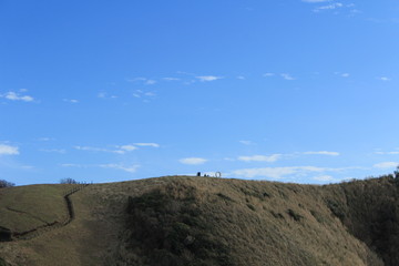 南伊豆　ユウスゲ公園