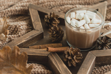 A cup of cocoa with marshmallows on a star tray with cones, cinnamon and a knitted sweater. Cozy winter background.