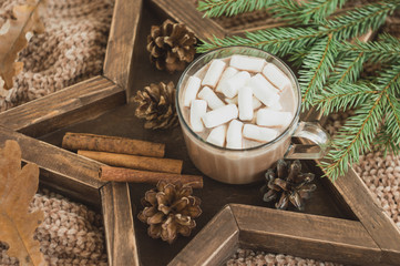 A cup of cocoa with marshmallows on a star tray with cones, branches, cinnamon and a knitted sweater. Cozy winter background.