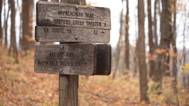 Intersection of Appalachian Trail and Mau Har Trail - Three Ridges Wilderness - George Washington National Forest, VA