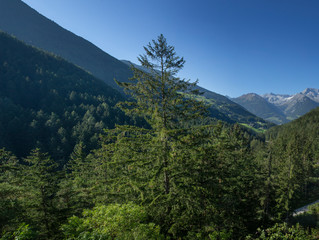Fototapeta na wymiar Torrente Aurino Italy. South Tirol. Campo Tures. Dolomites