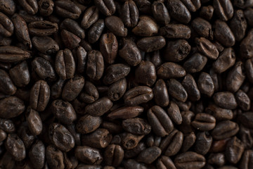 Fototapeta premium Wheat black for alcohol production. Roasted wheat background. Top view