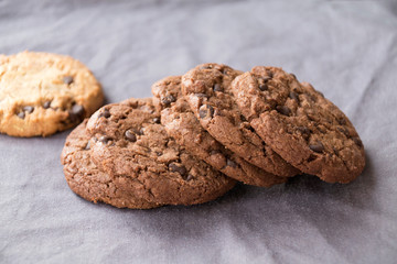 Les biscuits secs en chocolat