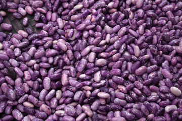 Many Purple beans  texture background patterns - Closeup vegetable scene - Healthy food 