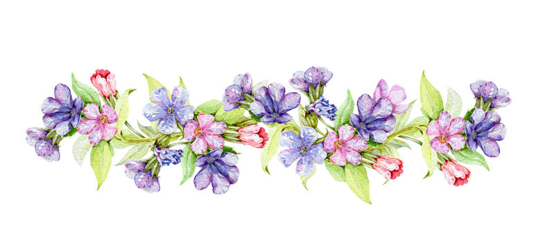 Lungwort herb with flowers watercolor border illustration. Medical wild plant with violet flowers on the stem hand drawn decore image. Blooming lungwort herb isolated on white background.  