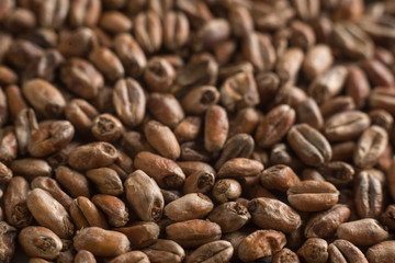 Wheat for alcohol production. Wheat background. Top view, flat lay