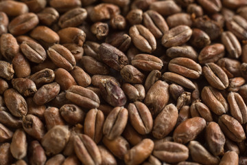 Wheat for alcohol production. Wheat background. Top view, flat lay