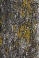 old wooden texture for background