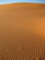 ripples in the sand