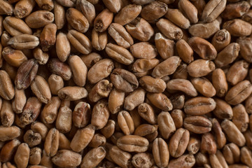 Wheat for alcohol production. Wheat background. Top view, flat lay