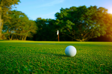Golf ball on green in beautiful golf course at sunset background.