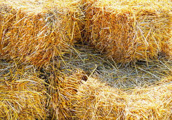 background of hay bales stacked on top of each other. Autumn village concept. grass for animal feed. nice sunny weather