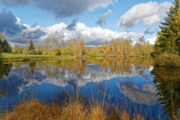 étang de Haute-Saône en automne