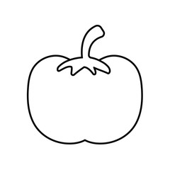 delicious tomato on white background