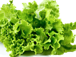 Fresh lettuce isolated on a white background,element of food healthy nutrients and herb vegetable ingredient concept 