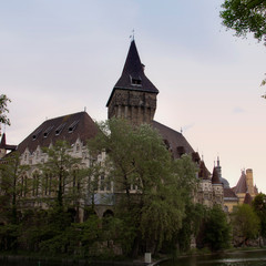 Fototapeta na wymiar Vajdahunyad Castle in Budapest. Hungary. 