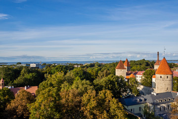 Fototapeta premium view of the old city of Tallinn