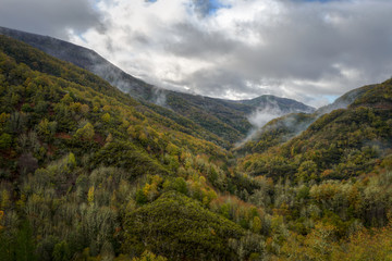Wooded Valleys wake up between Fog Shreds
