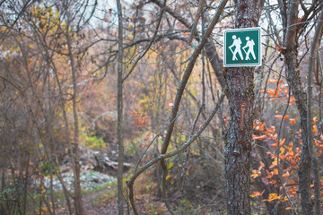 Blue hiking sign on the tree in the forest. Autumn colors