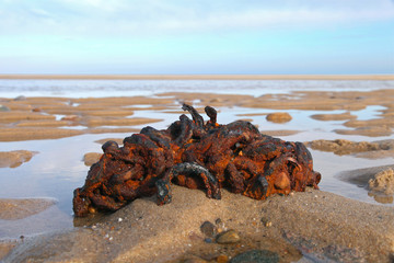 Shipwreck Ballast at Wellfleet, Cape Cod