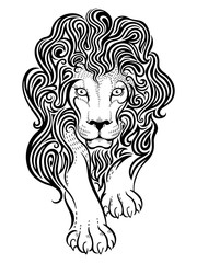 Illustration of lion with black and white style