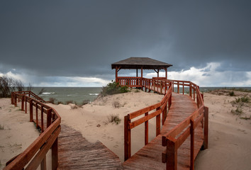 Coast of Baltic sea with arbor.