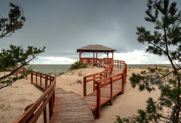 Coast of Baltic sea with arbor.
