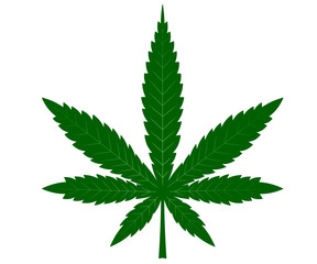  Drawn marijuana leaf on a white background