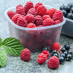 berries of ripe red raspberries and blackcurrants for a natural healthy diet