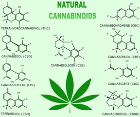 Table of natural cannabinoids with a leaf of marijuana