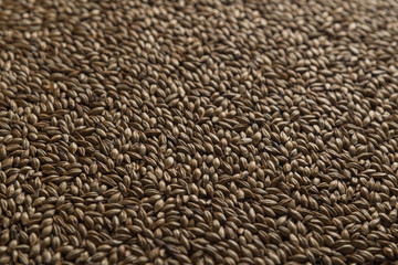 Malt, wheat grains for brewing. Malt background. Top view, flat lay