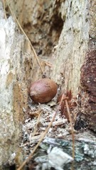 Beautiful landscape of nature. Lush trees and many colors