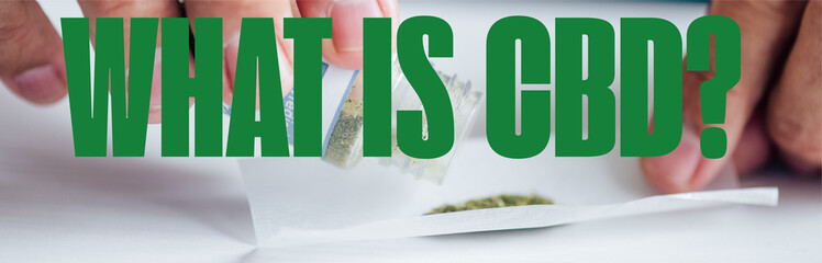 panoramic shot of man making joint with medical cannabis near what is CBD question