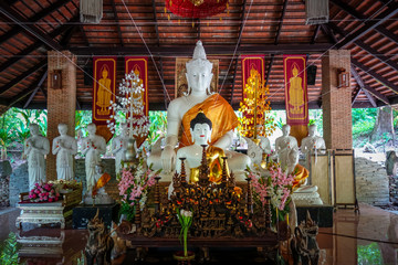 Buddha statue in Wat Palad temple, Chiang Mai, Thailand