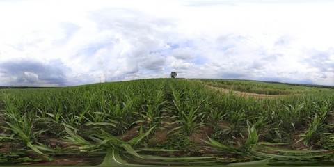 360 Degree HDRI panorama on cloudy day