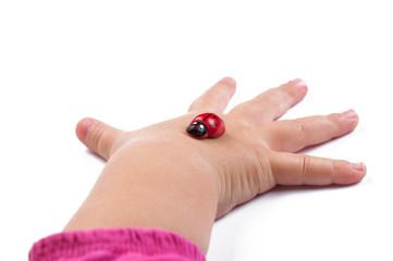 Naklejka premium Red ladybug and children's hand isolated on white background
