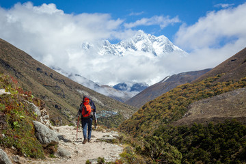 Fototapeta premium A man walking on the Everest base camp trail, himalaya, Nepal