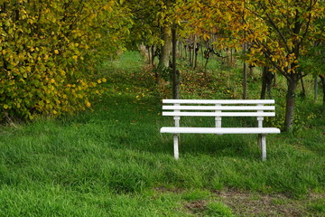 Weiße Sitzbank im Gras vor Bäumen und einem Weingarten