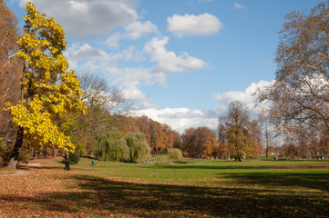 Parque con tonos de otoño