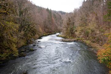 R&iacute;o en bosque de oto&ntilde;o