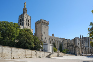 Fototapeta na wymiar Palais du pape Avignon France