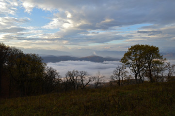 Obraz premium landscape with trees and blue sky