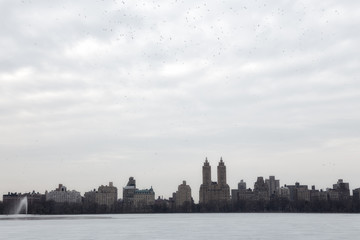 Fototapeta na wymiar New York skyline. View of Manhattan on a cloudy day. View from central park. 