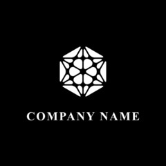 Abstract Logo Design with hexagon, triangle and lines 